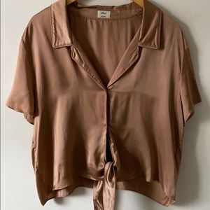 Aritzia Silk Cropped Front-tie Blouse